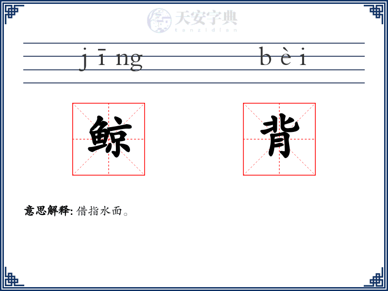 鲸背