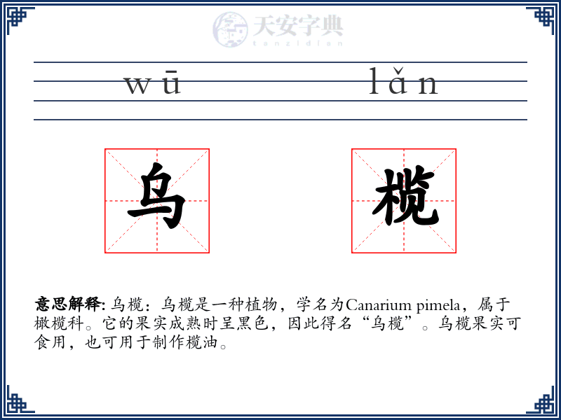 乌榄