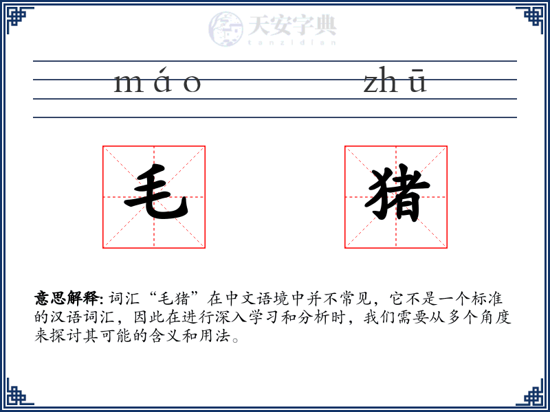 毛猪