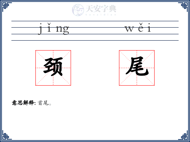 颈尾