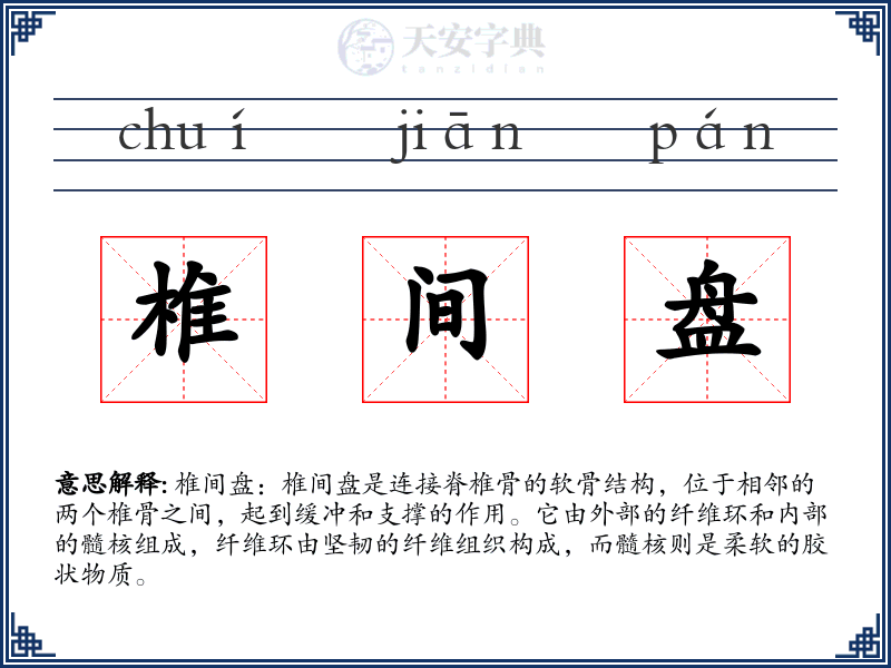 椎间盘