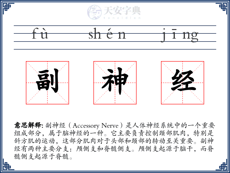 副神经