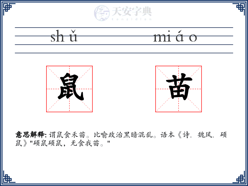 鼠苗
