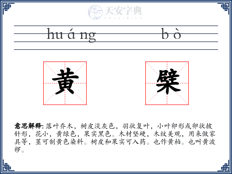 黄檗