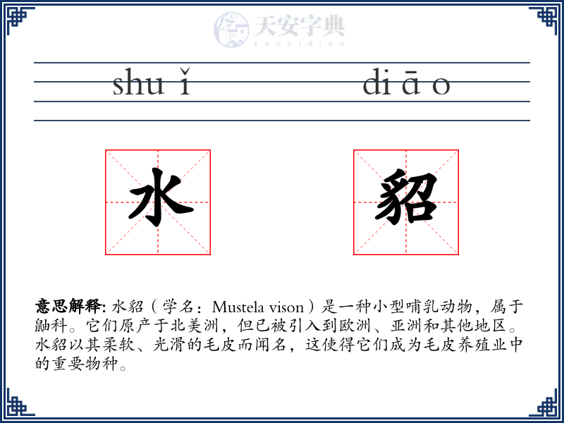 水貂