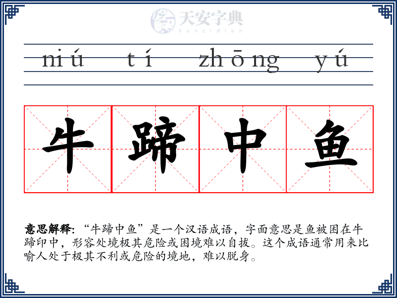 牛蹄中鱼