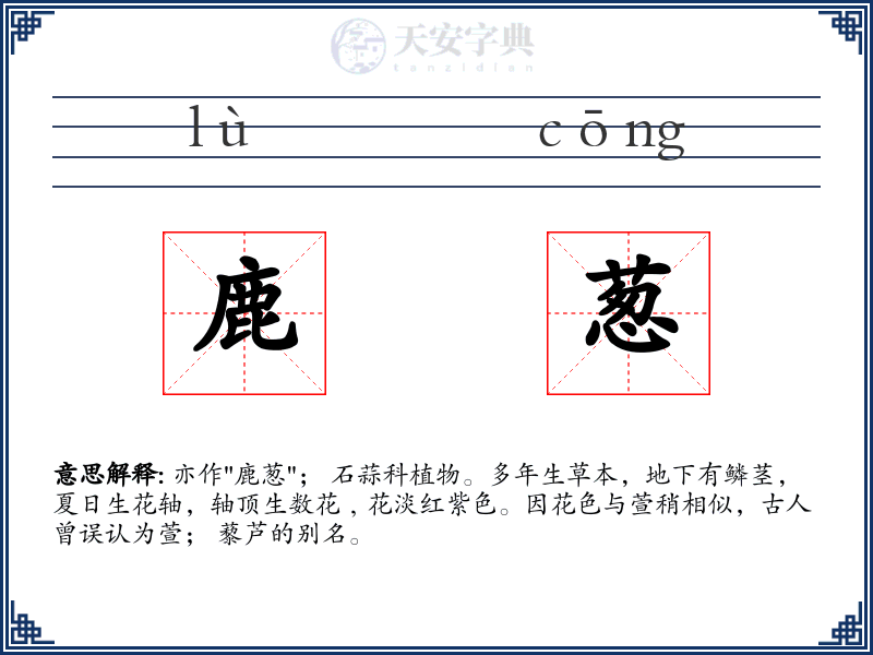 鹿葱