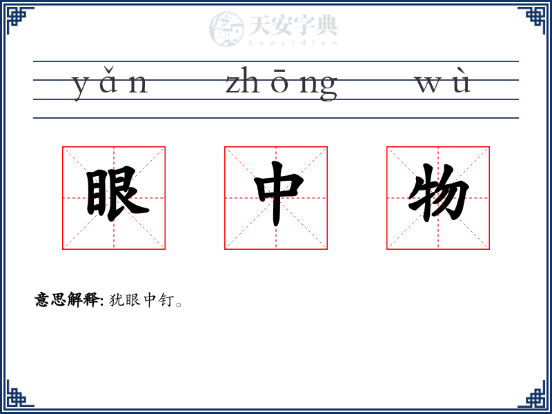 眼中物