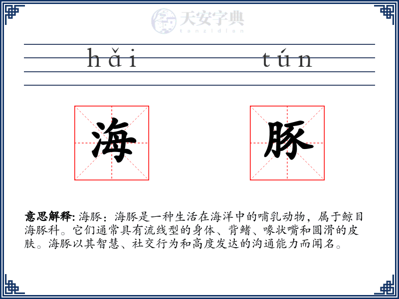 海豚