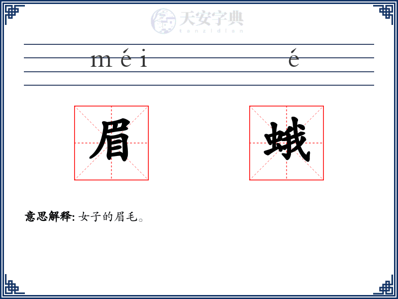 眉蛾