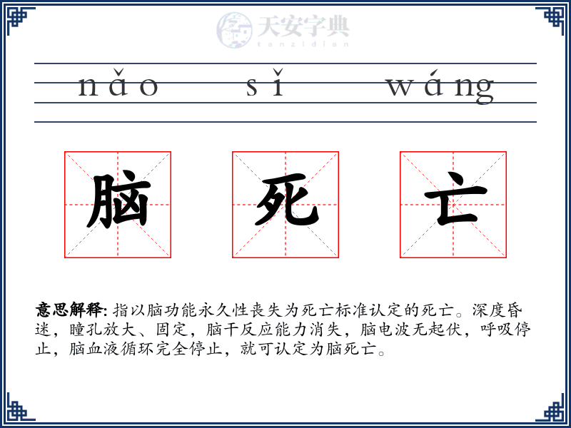 脑死亡