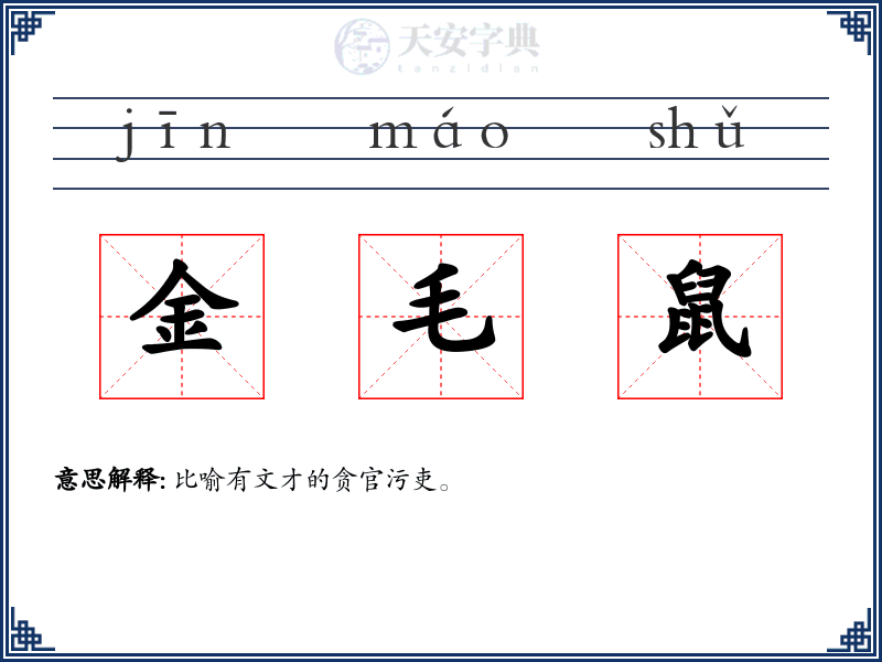 金毛鼠