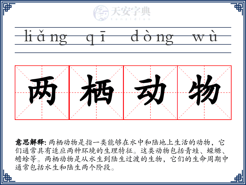 两栖动物