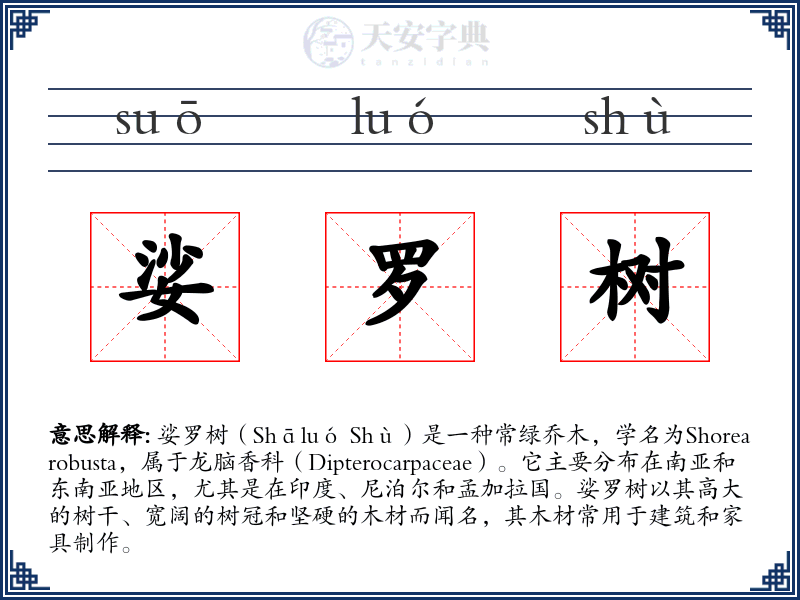 娑罗树
