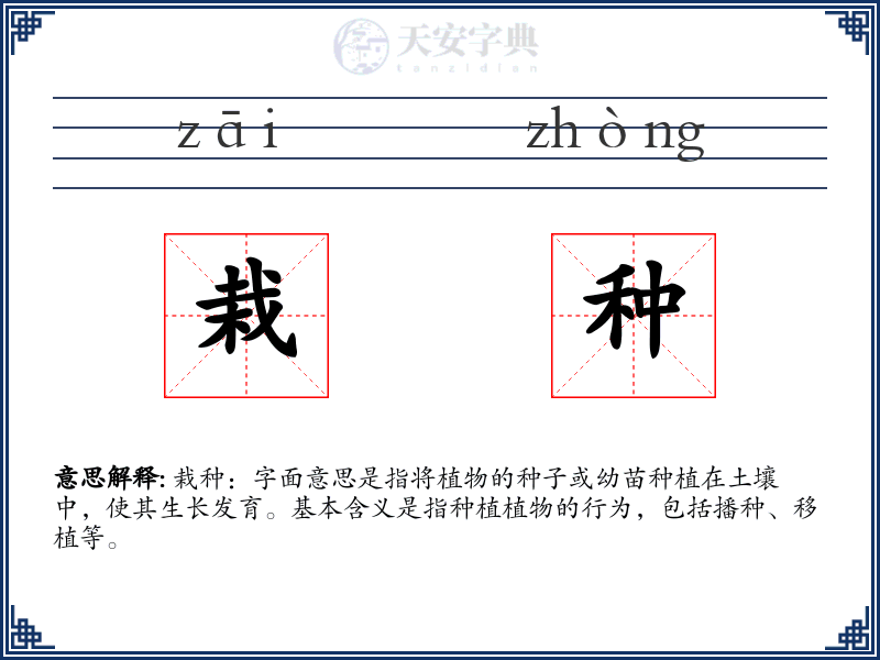 栽种