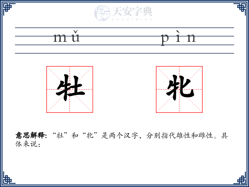 牡牝