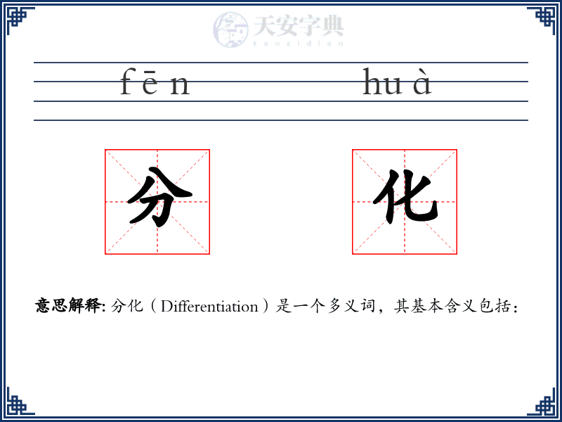 分化