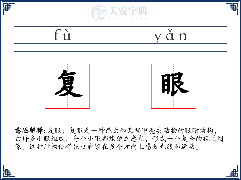 复眼