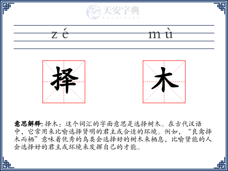 择木
