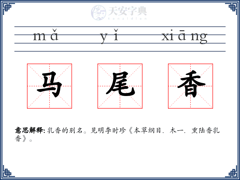 马尾香