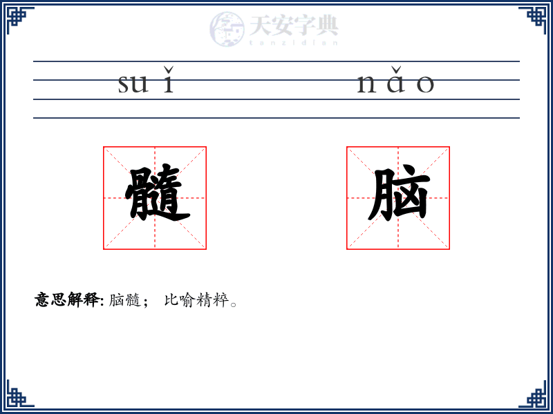 髓脑