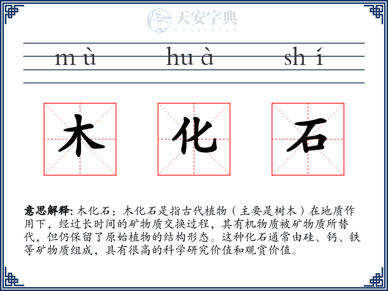 木化石