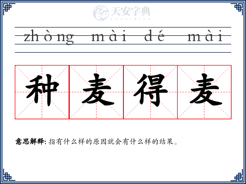 种麦得麦