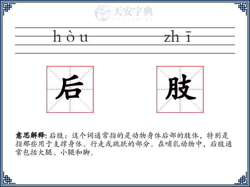 后肢