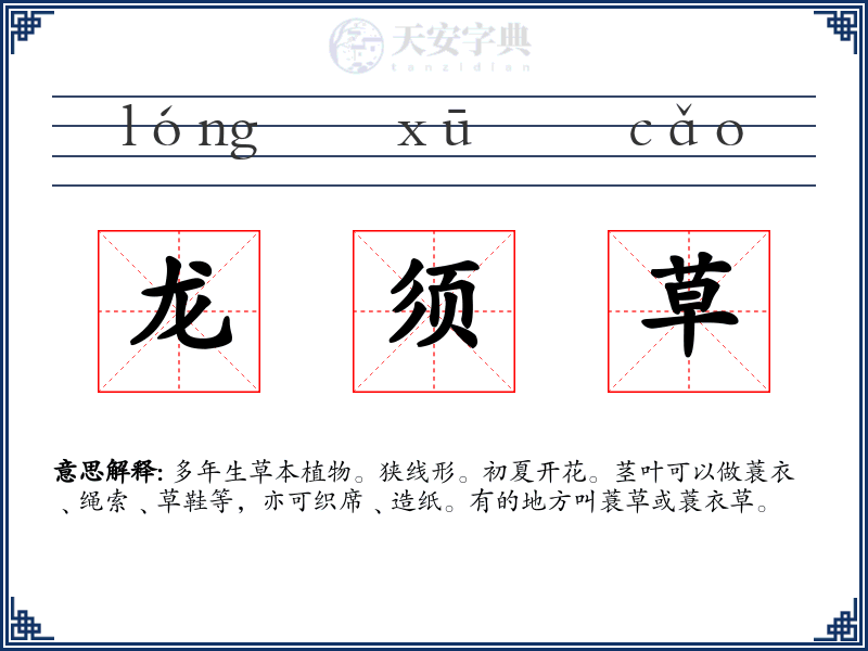 龙须草