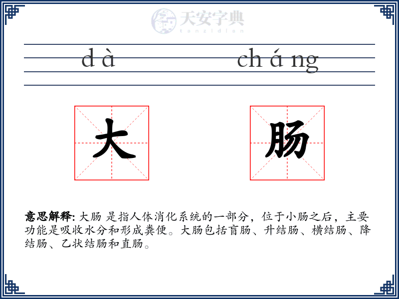 大肠