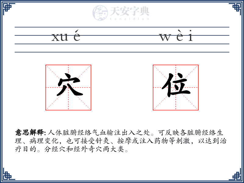 穴位