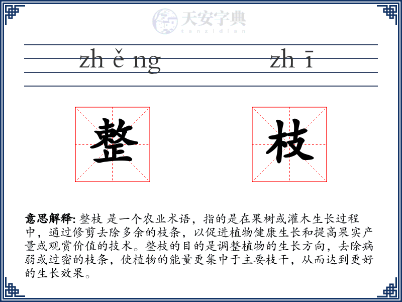 整枝