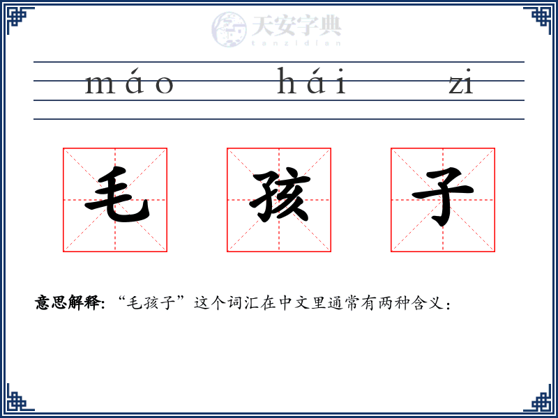 毛孩子