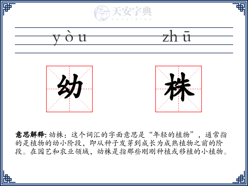 幼株