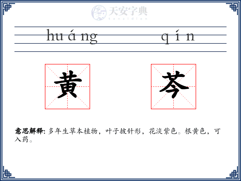 黄芩