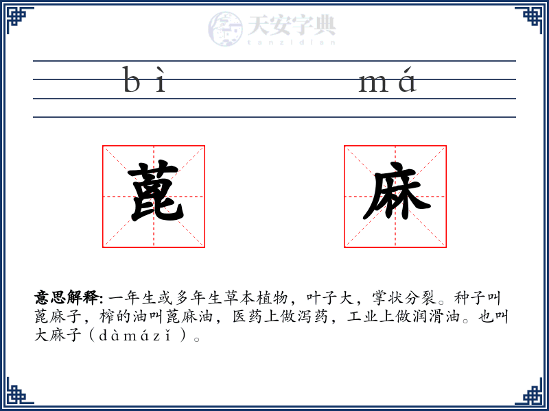 蓖麻