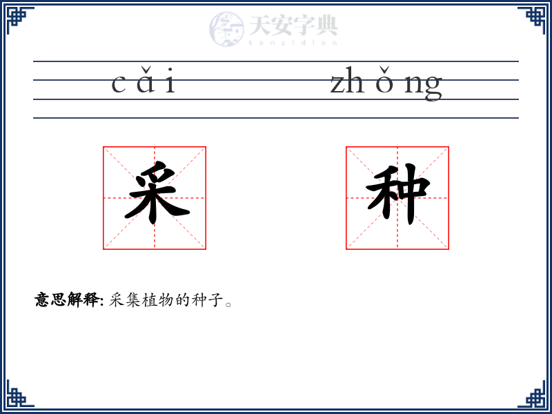 采种