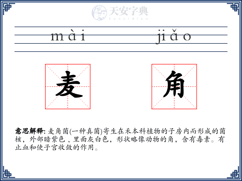 麦角
