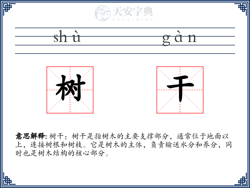 树干