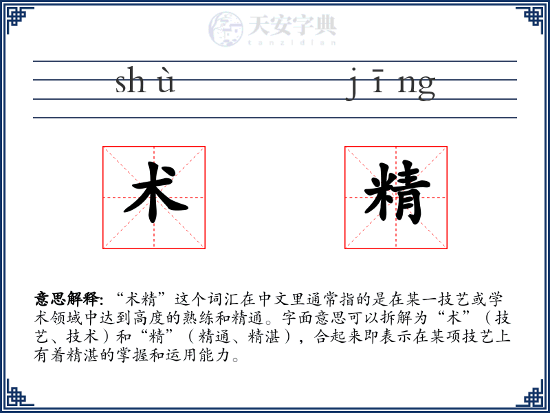 术精
