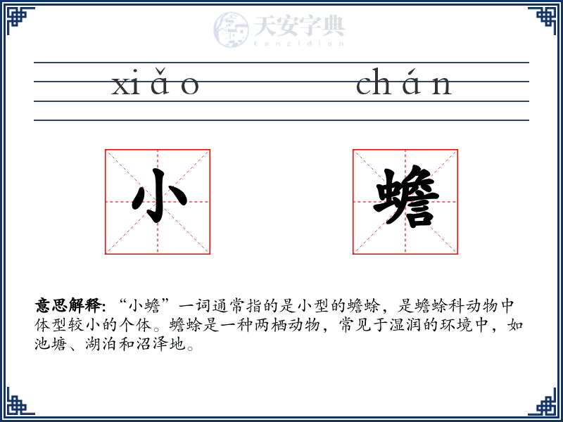 小蟾