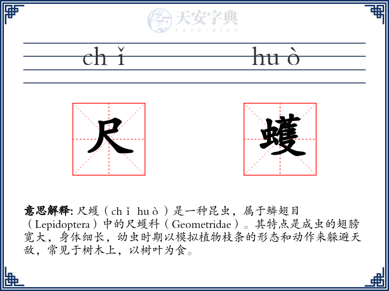 尺蠖