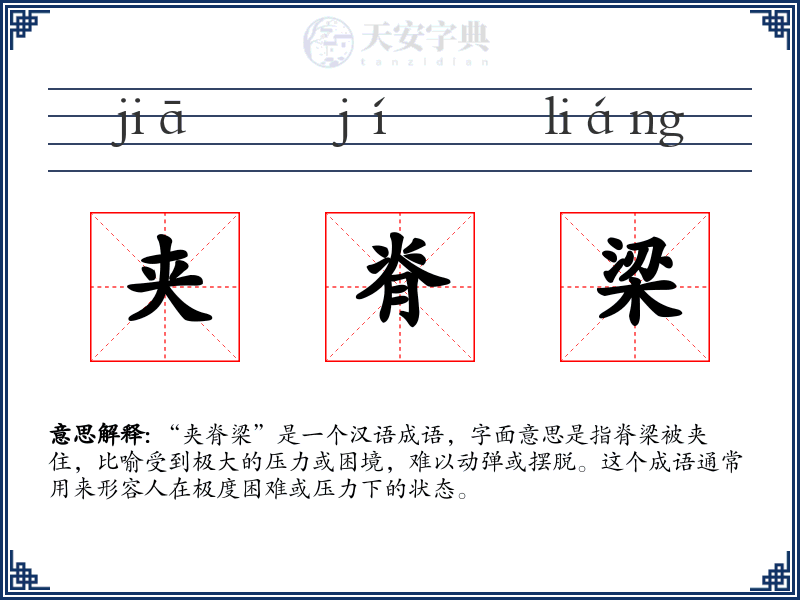 夹脊梁