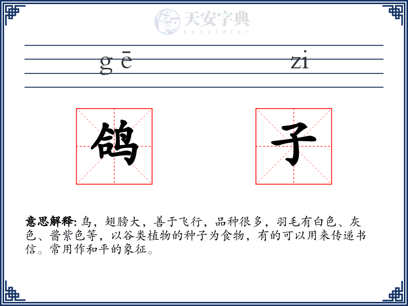 鸽子