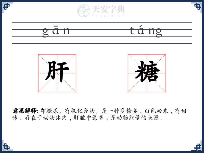 肝糖