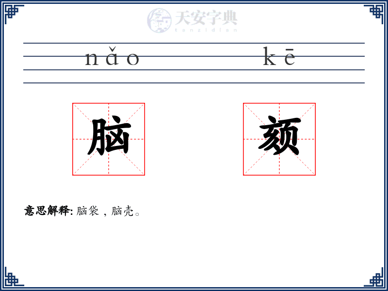 脑颏