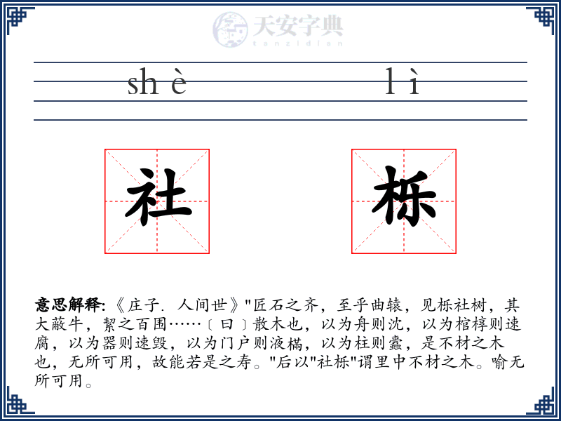 社栎