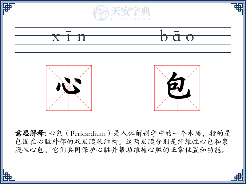 心包