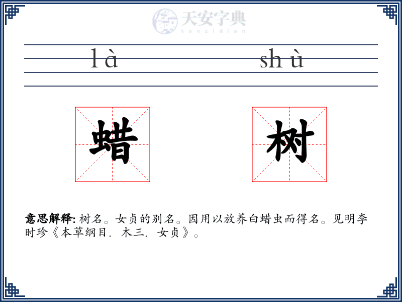 蜡树