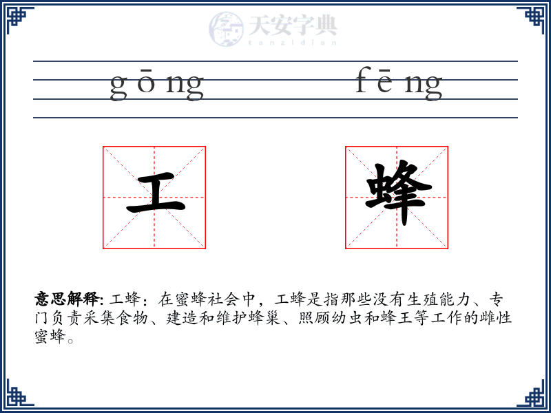 工蜂